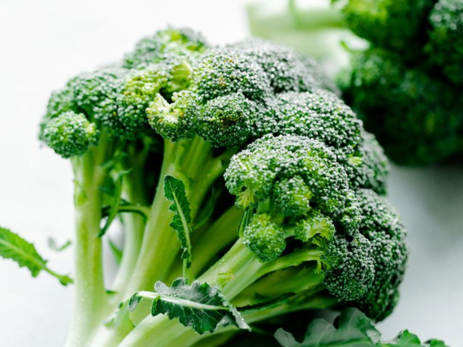 Broccoli