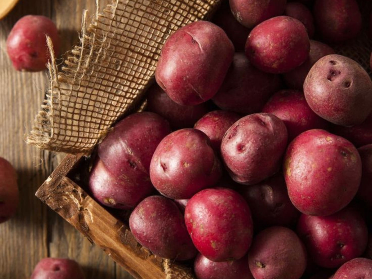 Red Potato 