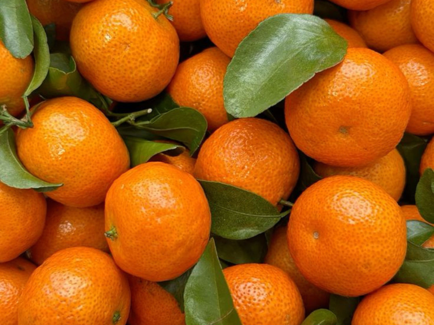 Tangerine