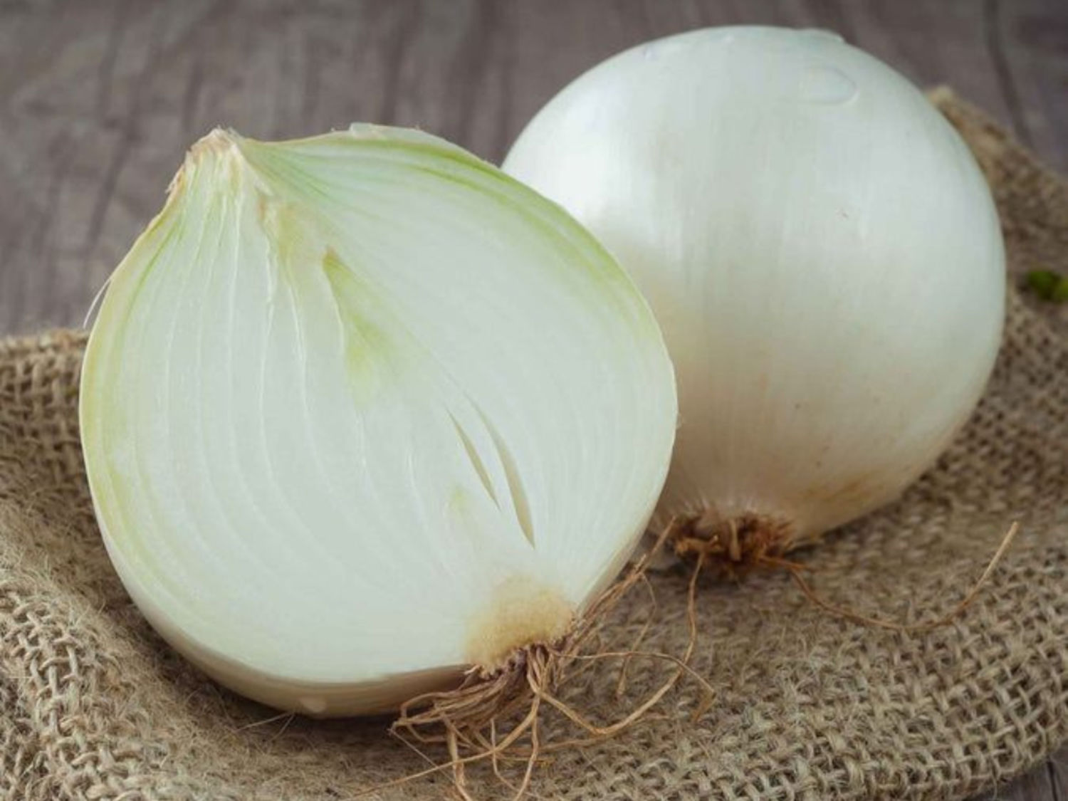 White Onion