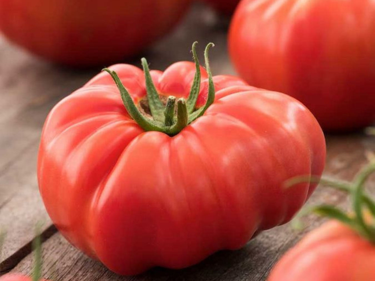 Beefsteak Tomato