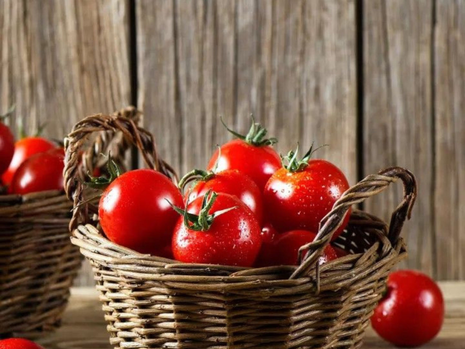 Tomato