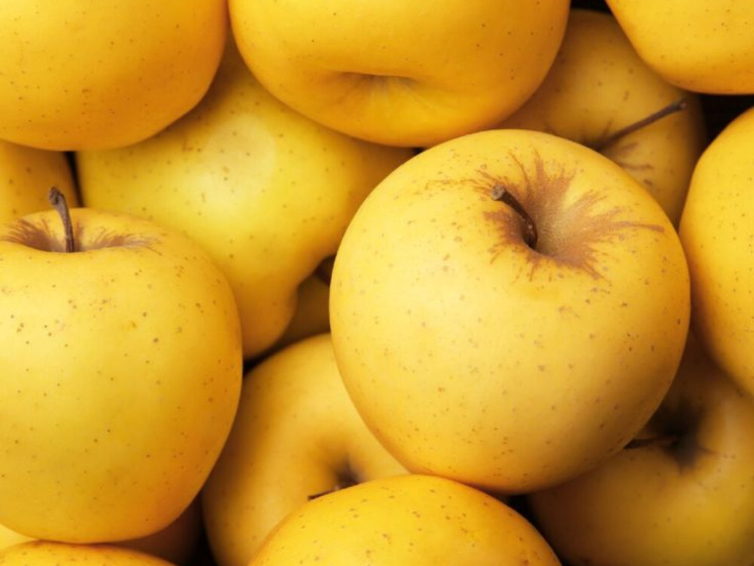 Golden Delicious Apple