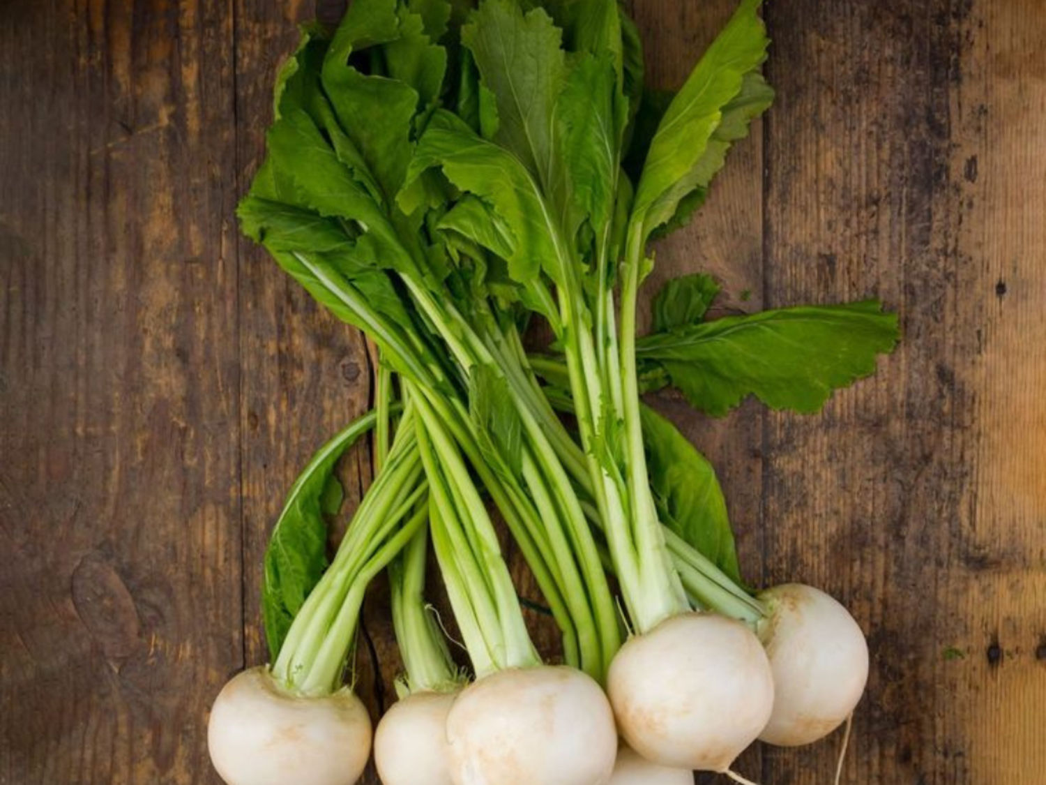 Turnip Green